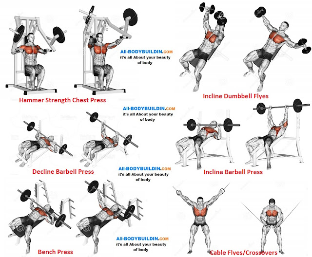 Chest Training Program for Muscle Mass, Definition, and Strength