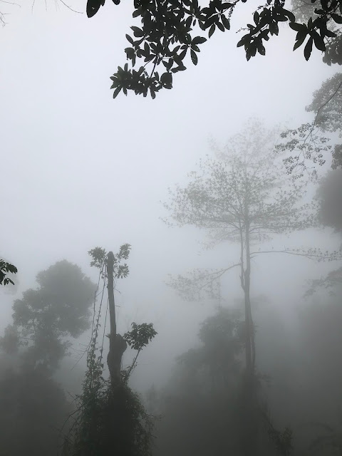 quali cascate visitare a bali