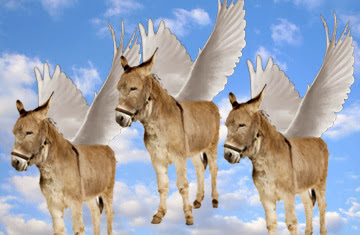 Risultati immagini per flying donkeys