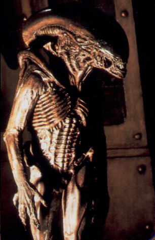 Alien3-1.jpg