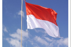 Download Pola Naskah Pidato & Susunan Upacara Bendera Lengkap