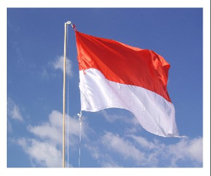 Download Pola Naskah Pidato & Susunan Upacara Bendera Lengkap