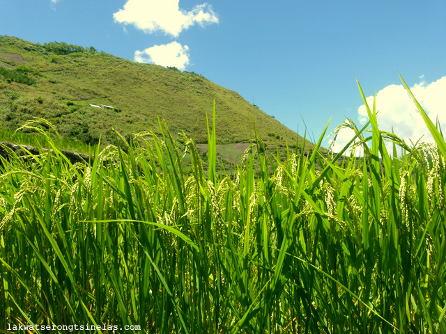 DAY HIKE TO TINGLAYAN VILLAGES OF KALINGA - Lakwatserong Tsinelas