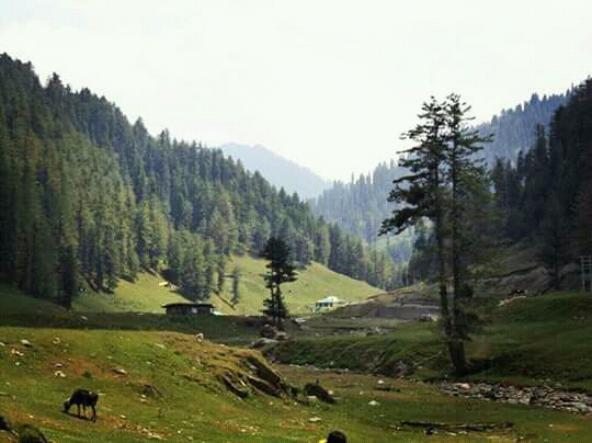 Jai valley Jai valley