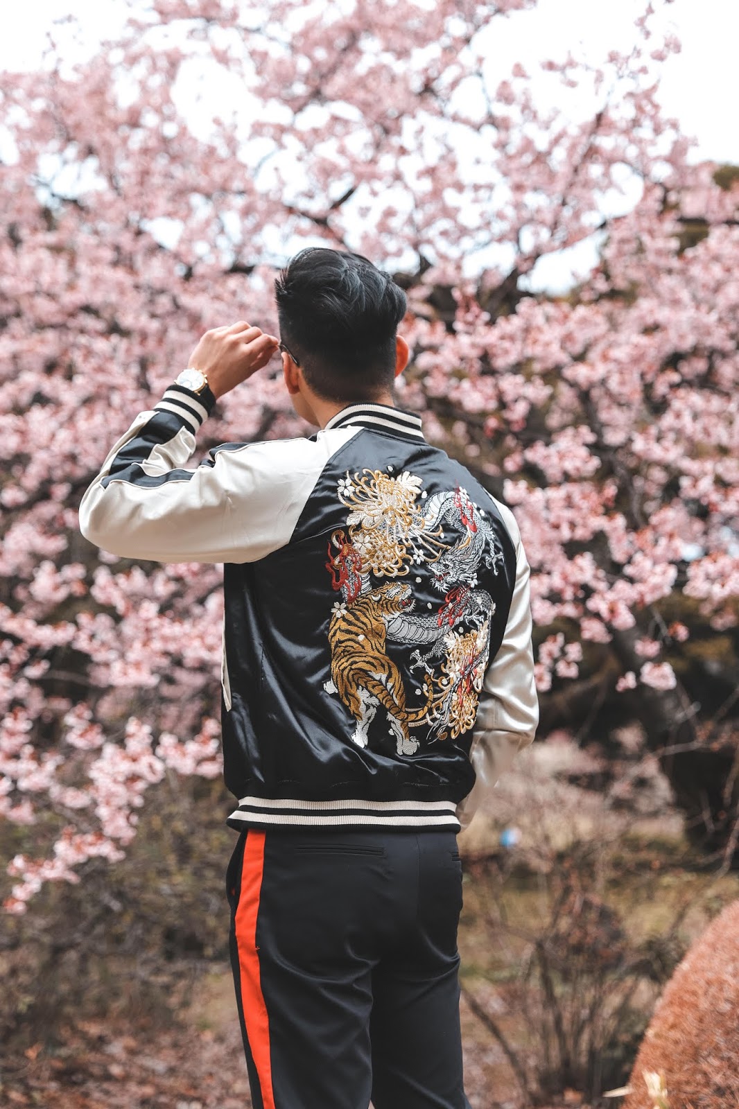 Leo Chan with Cherry Blossoms at Shinjuku Garden Tokyo