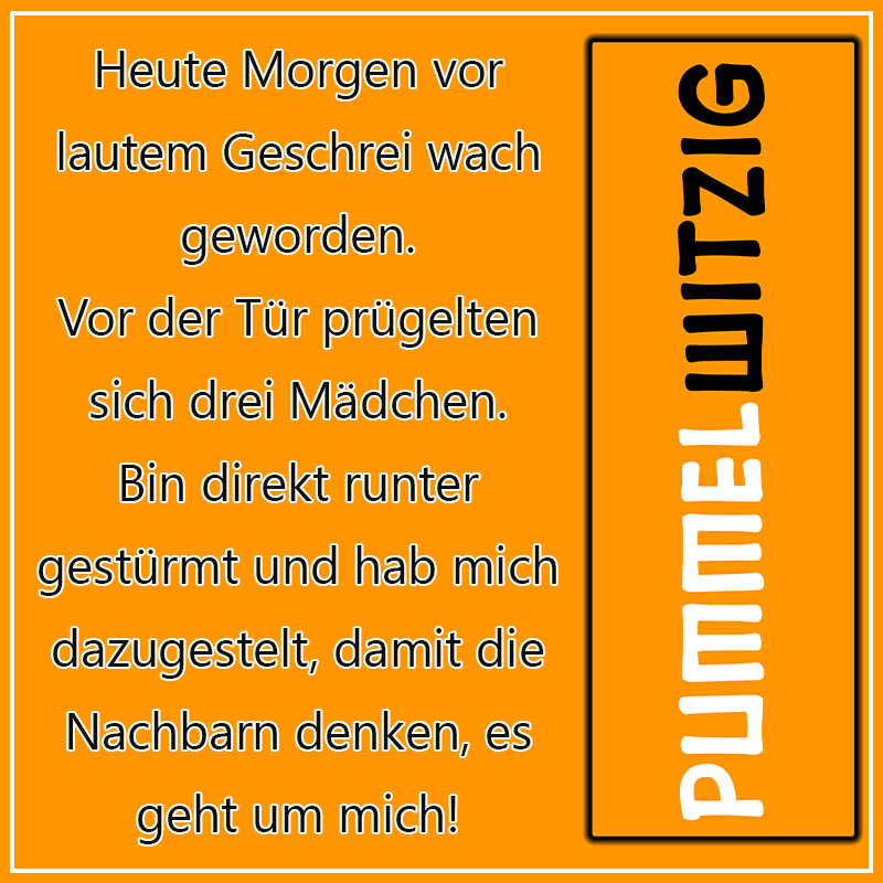 Pummelwitzig 2018
