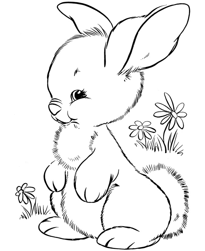 rabbit coloring pages for kindergarten kids - photo #2