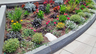 Solución Floral en La Fuente de las Musas  (Plaza de Navarra-Huesca)