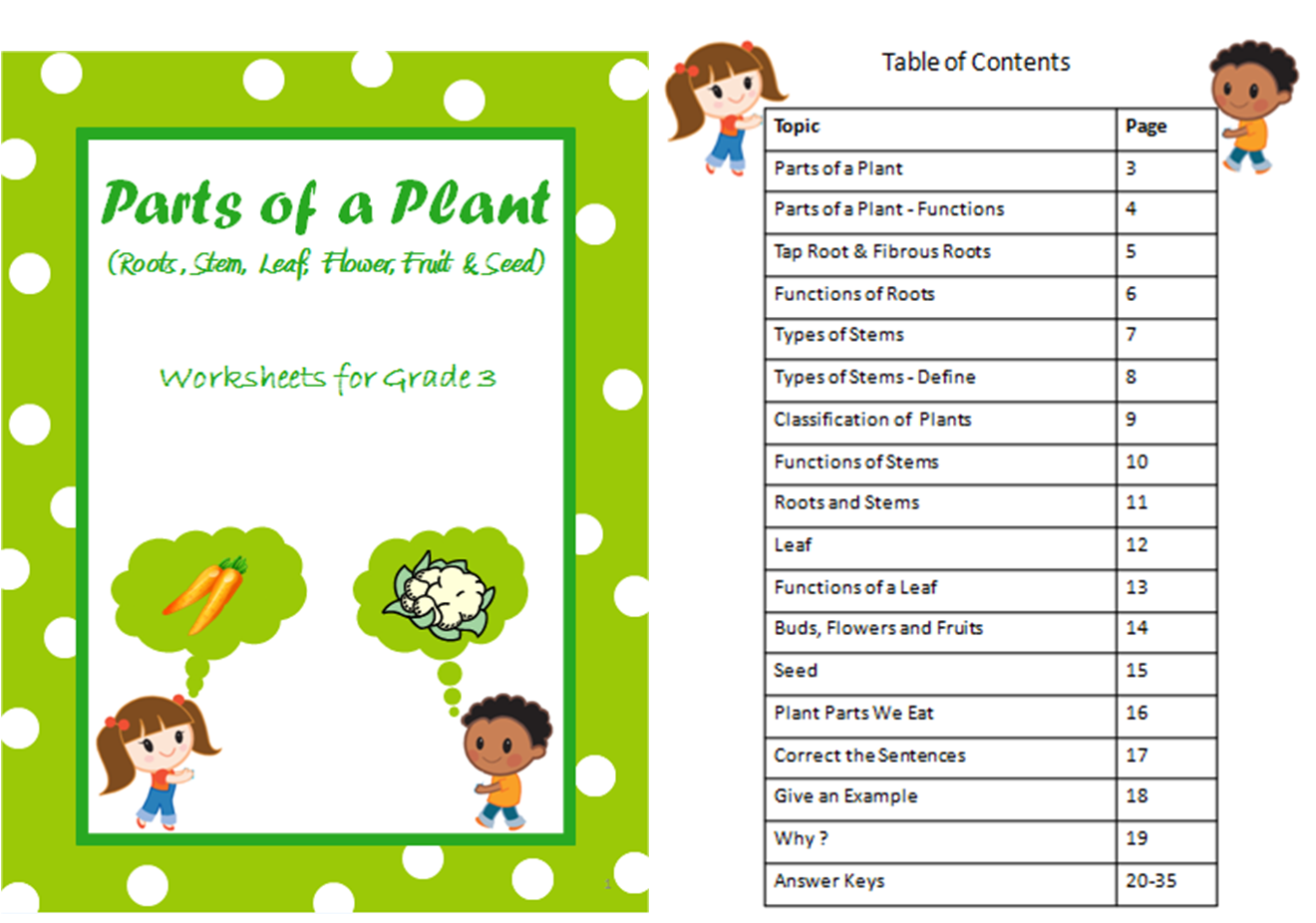 Happy Learners: Parts of a Plant