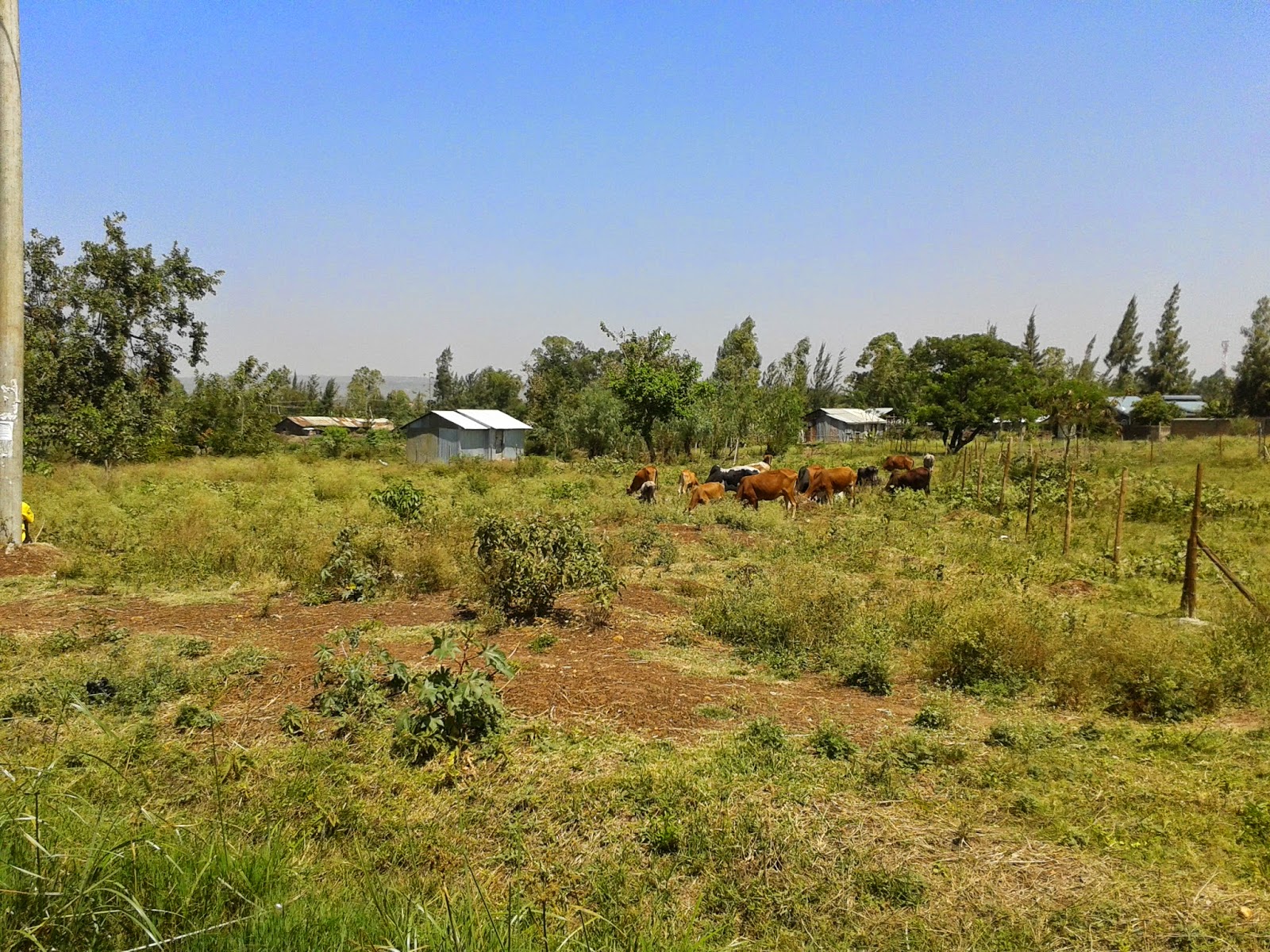 Kenya Real Estate, Property Developer Kisumu, Kakamega, Luanda, Maseno