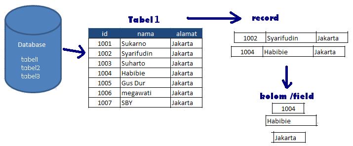 Struktur Tabel Database Struktur Data Pada Basis Data Rangkuman | Hot ...