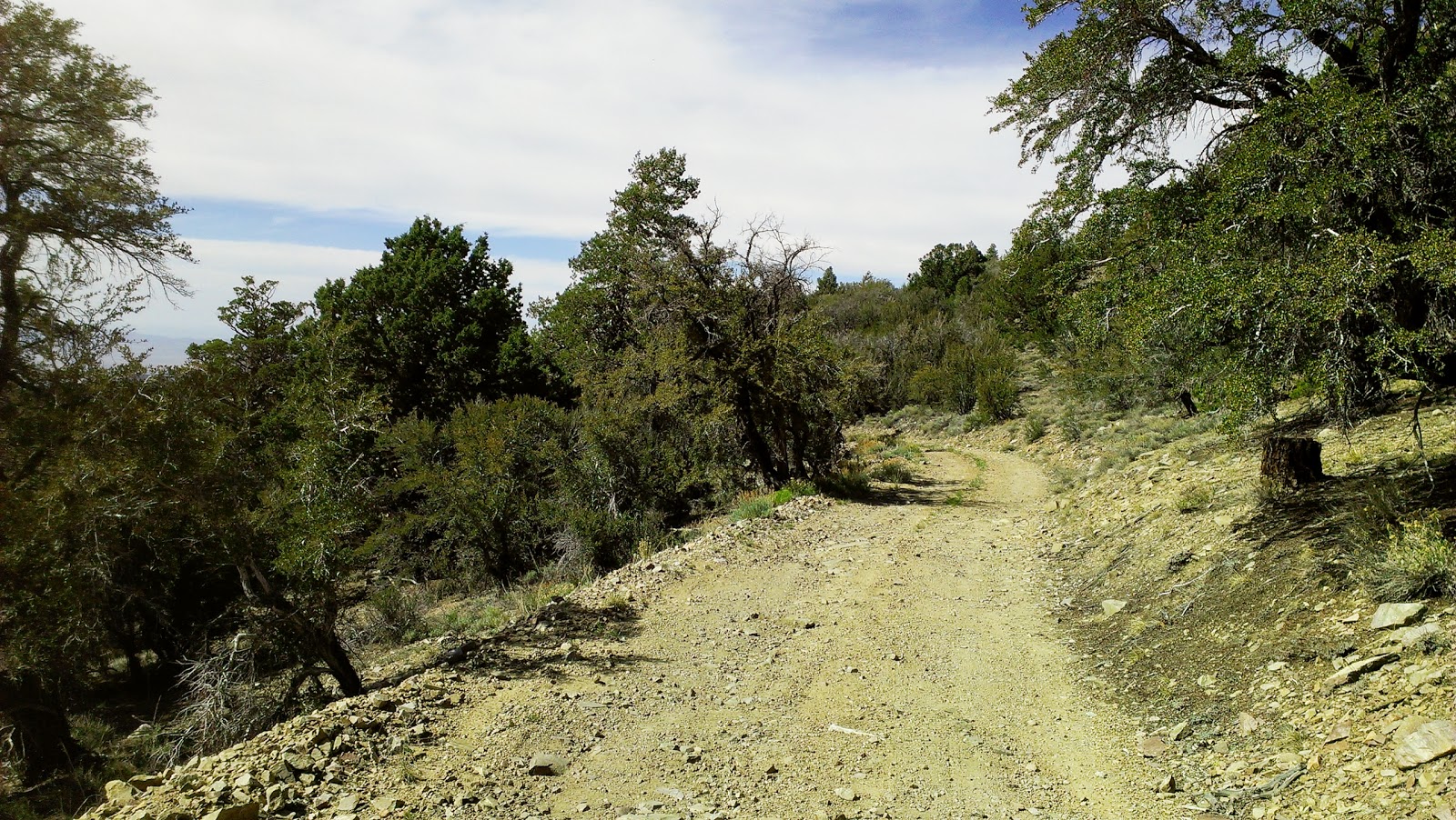 Review Hikes and Books Onyx Peak near Big Bear Lake