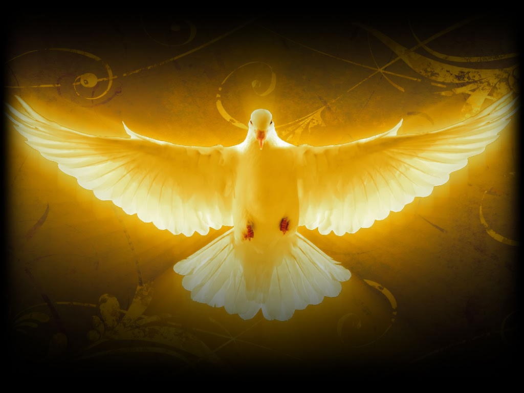 Holy Spirit - Background Holy Spirit | Bodoniwasuni