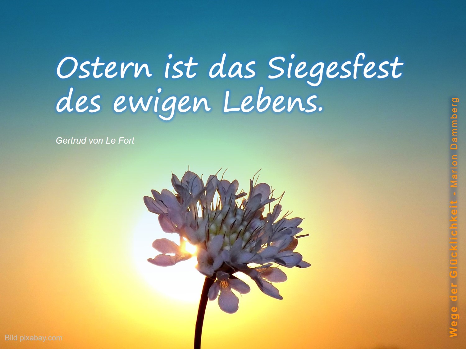 BewusstSeinsWege der Glücklichkeit Coaching Karte Wege der