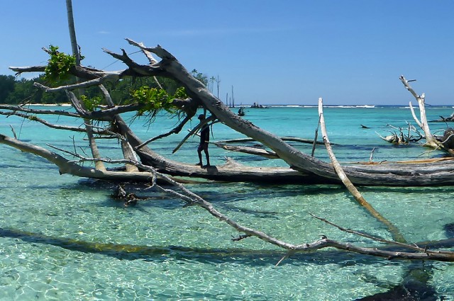 Sea-Level Rise Has Claimed Five Whole Islands In The Pacific: First Scientific Evidence