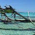 Sea-Level Rise Has Claimed Five Whole Islands In The Pacific: First Scientific Evidence