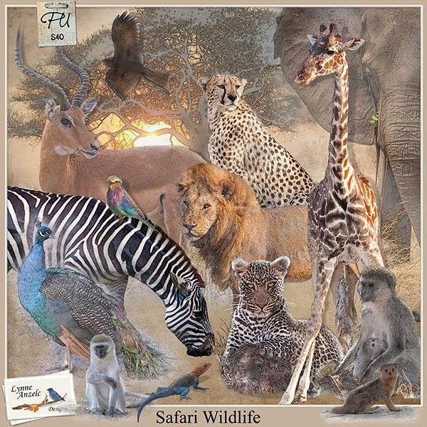 Safari Wildlife