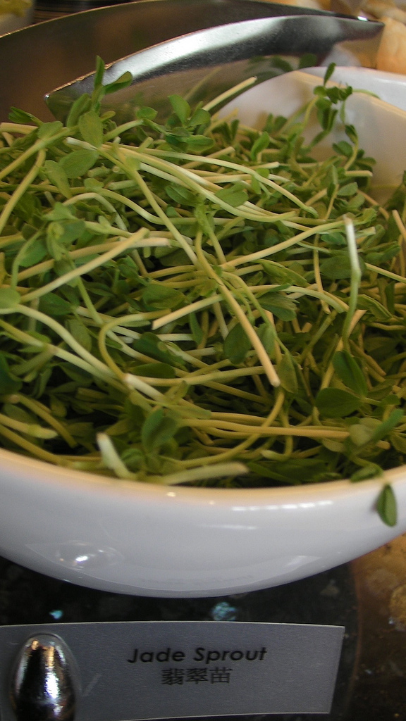 MY HOTEL LIFE JW Marriott Hong Kong The Best Noodle Bar in Asia