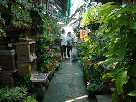 Garden Market in Bangkok