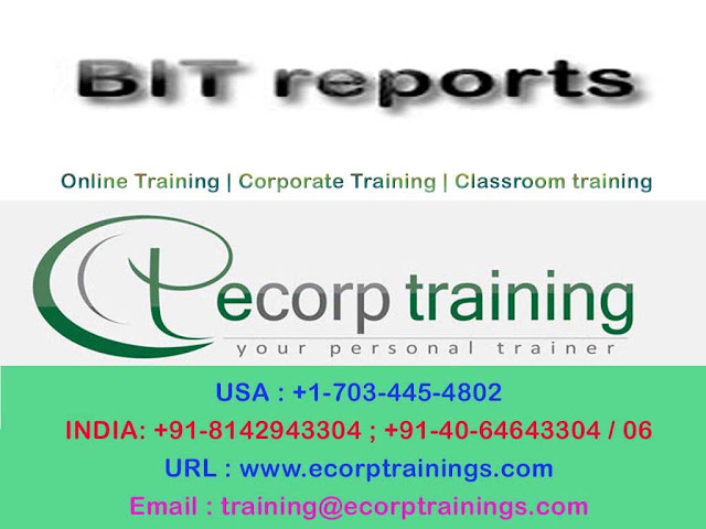 BIT reports online training