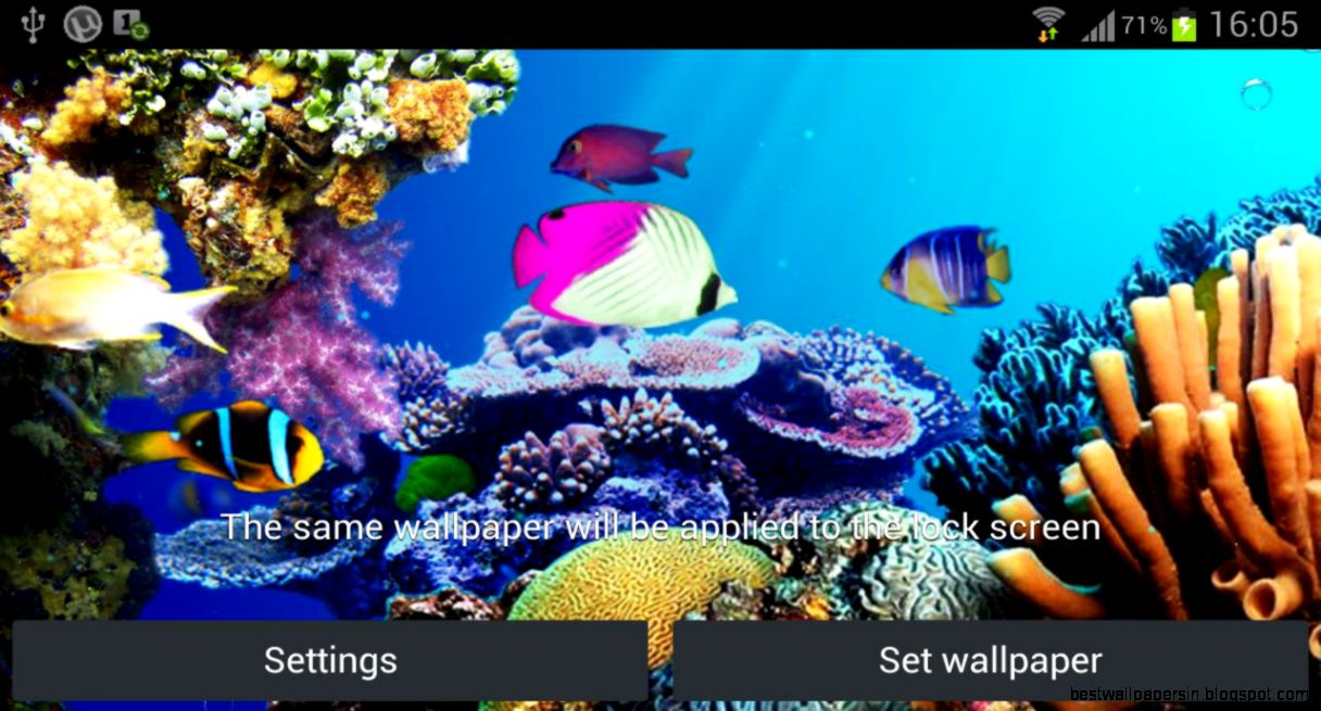 Under water live wallpaper   Android Apps on Google Play
