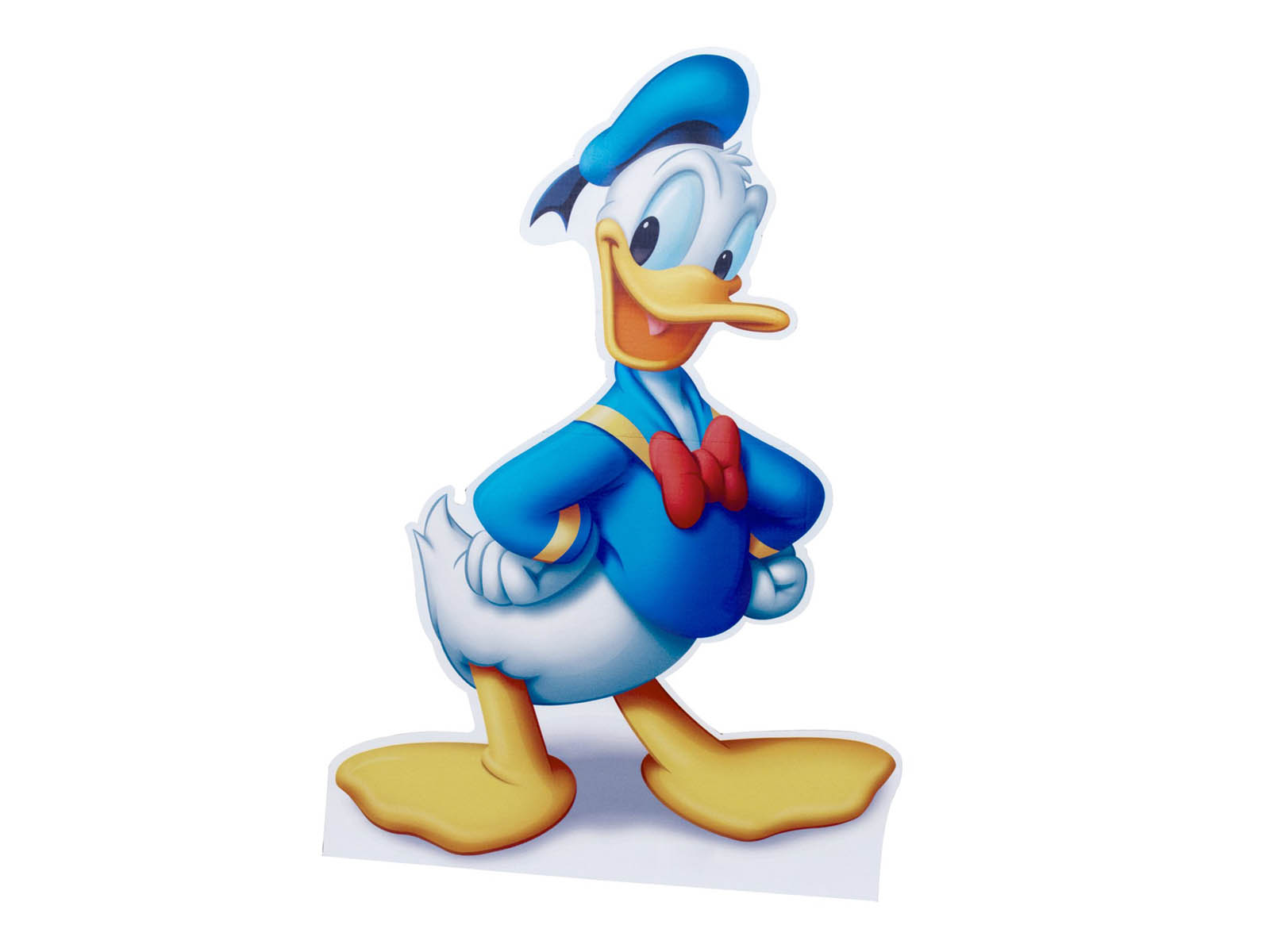 Pictures Of Donald Duck 4