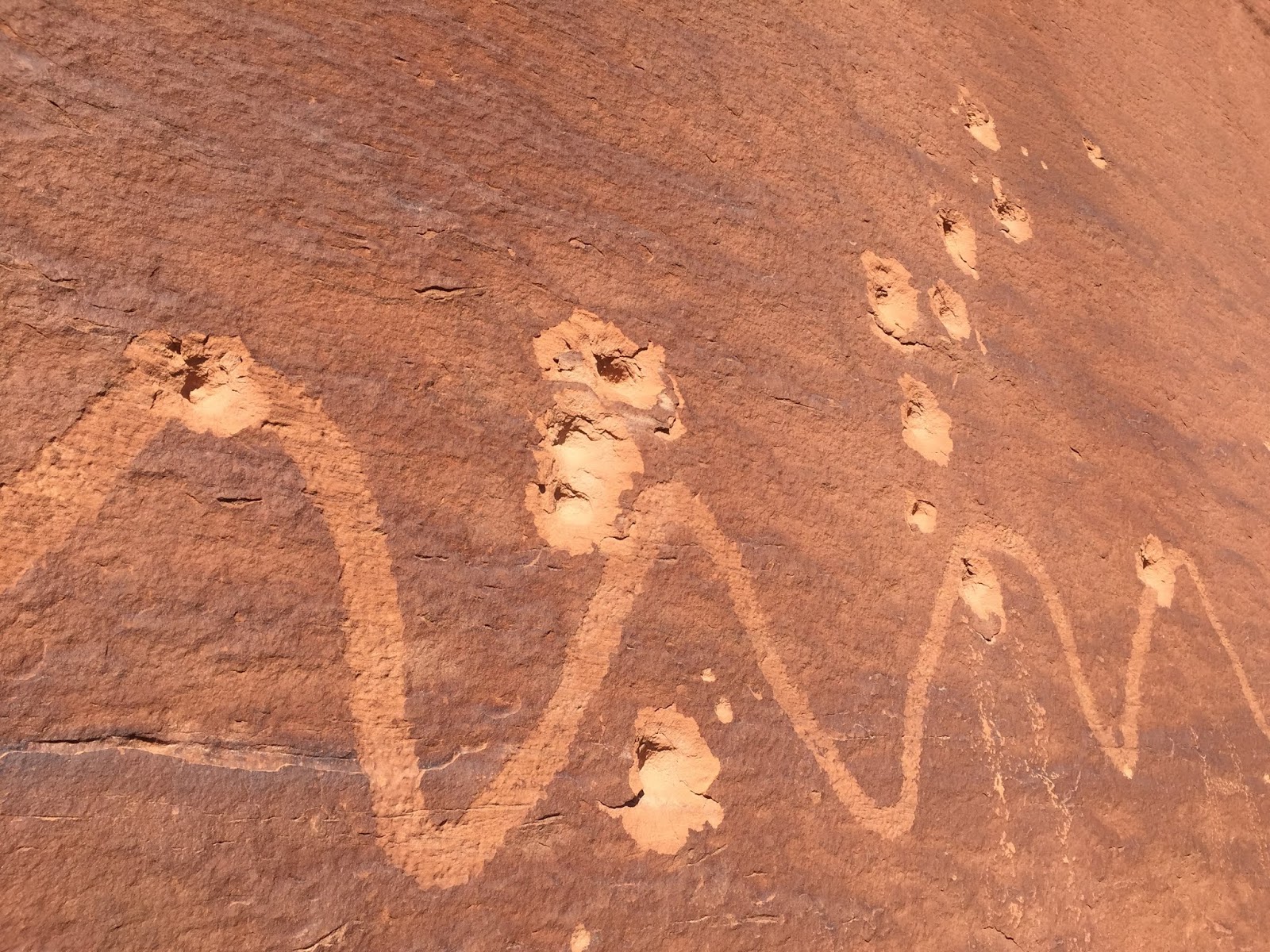 Robert Langham Crossing snakes in Moab.