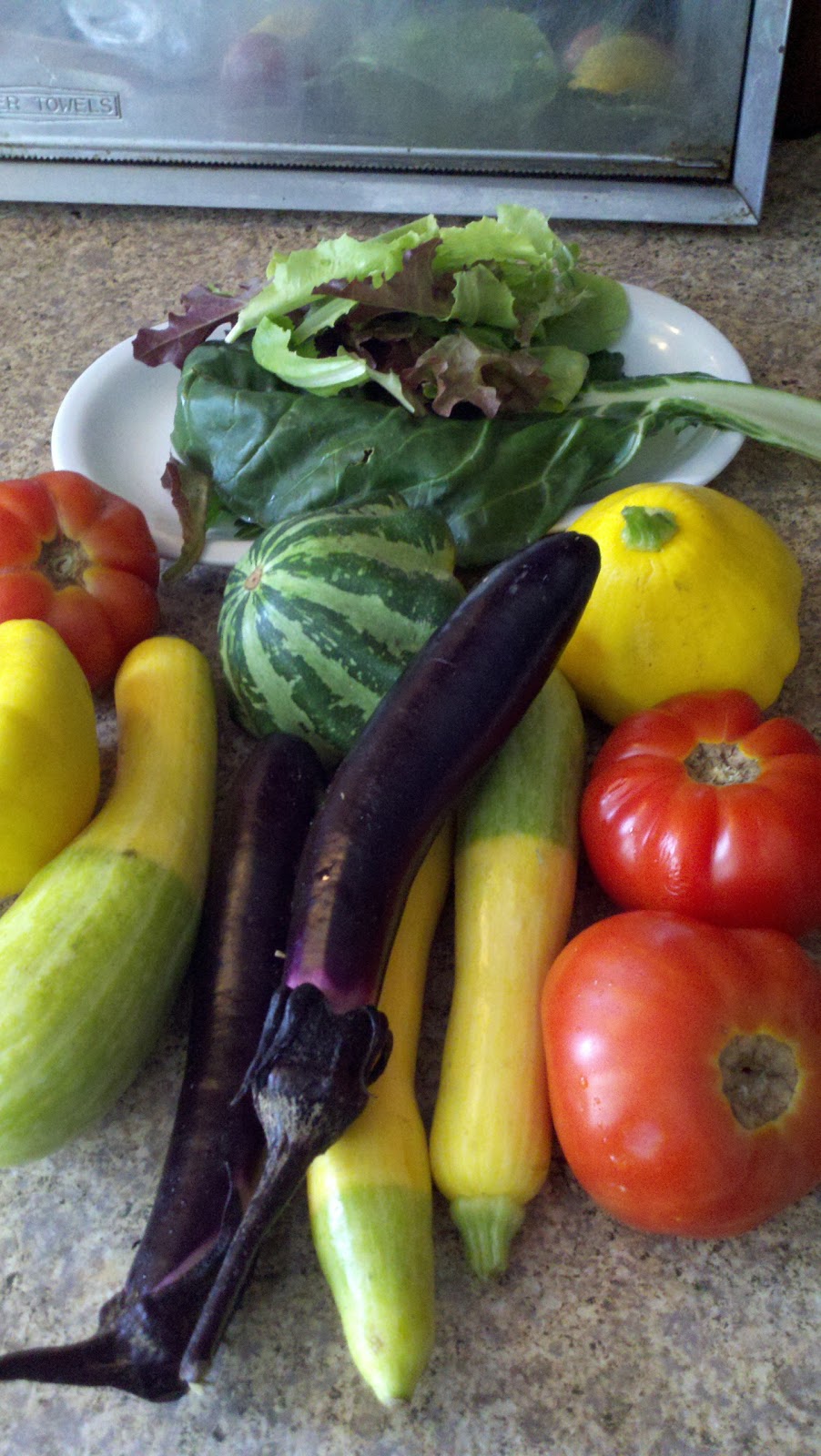 Cranky Gerd Recipe Quinoa with Japanese Eggplant