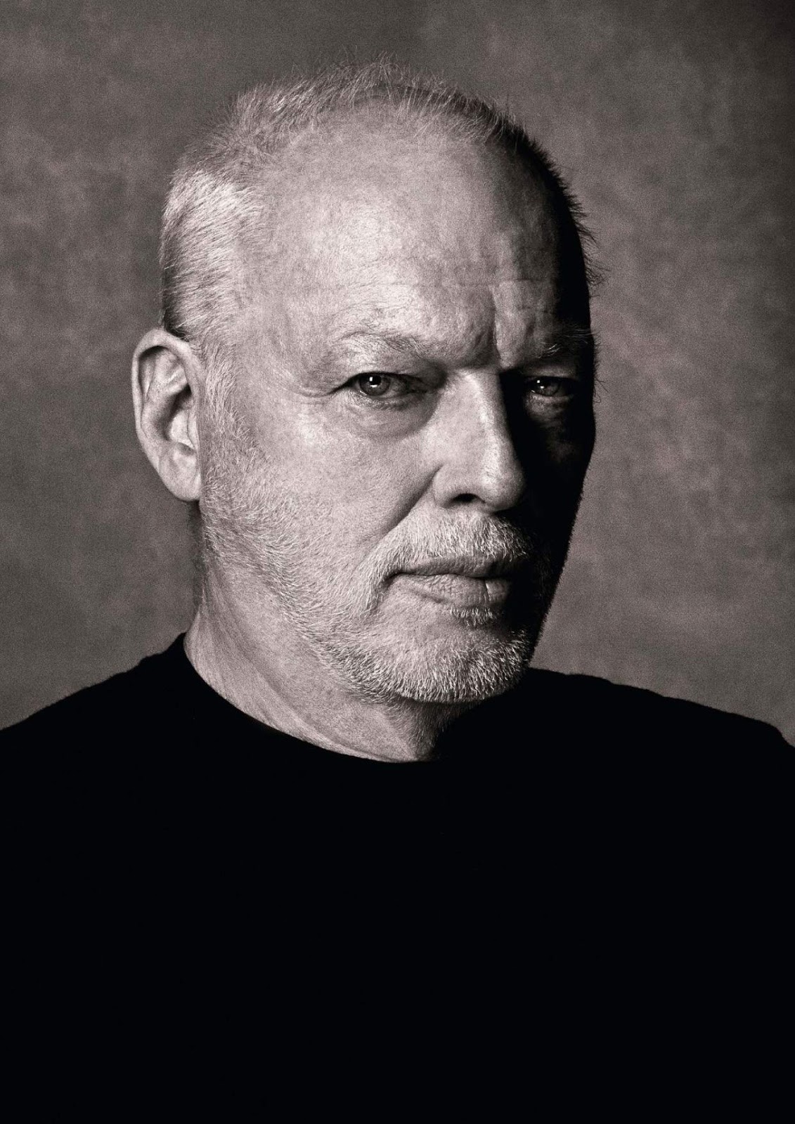 Pink Floyd Ilustrado David Gilmour Guitarist 201510