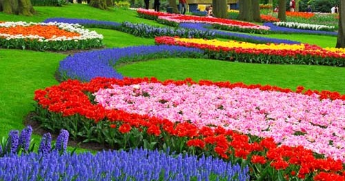 Gambar Pemandangan Taman Bunga Gambar Pemandangan Gambar Pemandangan Taman Bunga Gambar Pemandangan