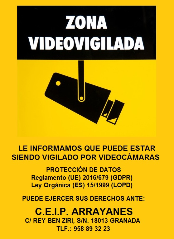 Videovigilancia y Protección