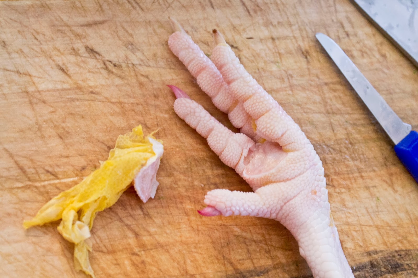 Mamma Can Do It How to make chicken feet broth