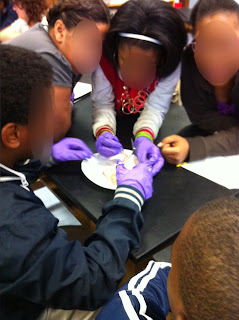 9th grade science students hard at work on a skeletal and muscular system lab
