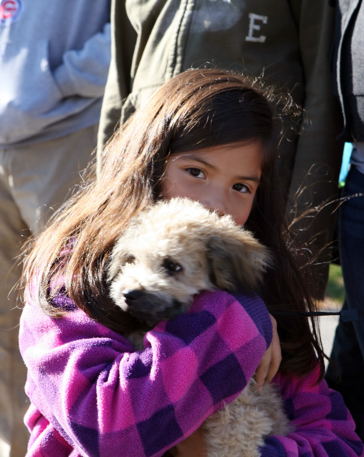 Mark Kodiak Ukena Beach Park Public Works Pet Clinic