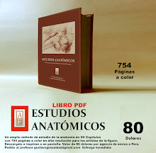 ESTUDIOS ANATÓMICOS PDF
