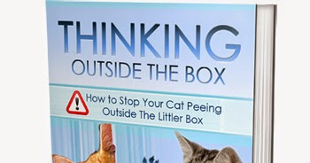 How Do I Stop My Cat From Peeing On Clothes 91