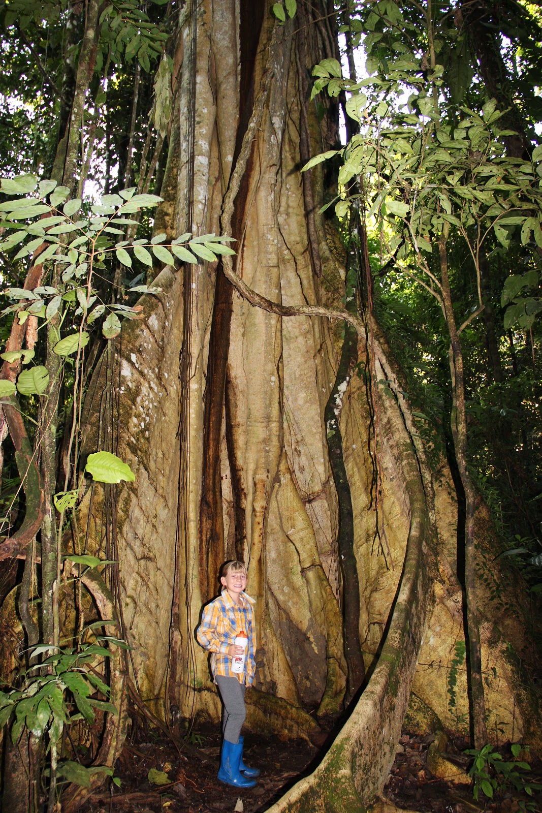 South of the Equator The Ecuadorian Amazon Rainforest