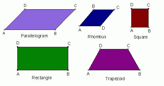 Jacobs Sixth Grade Jewels Sixth Graders Examine Quadrilaterals