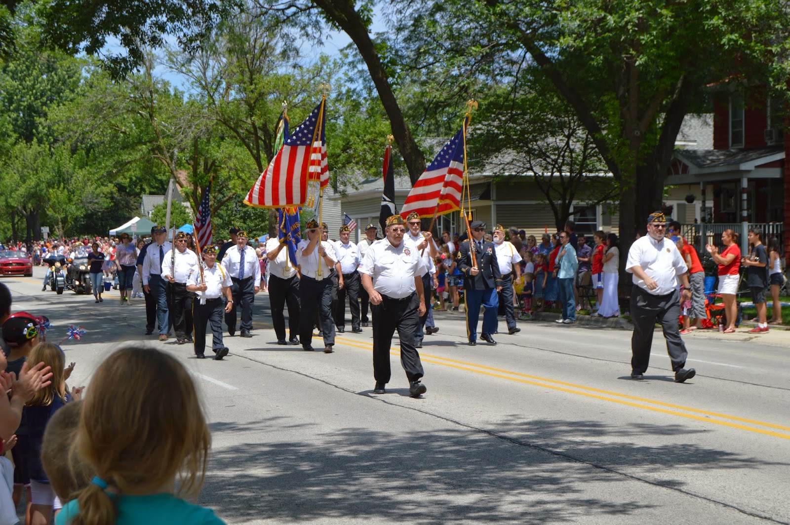 Towns and Nature Downers Grove July 4 Parade