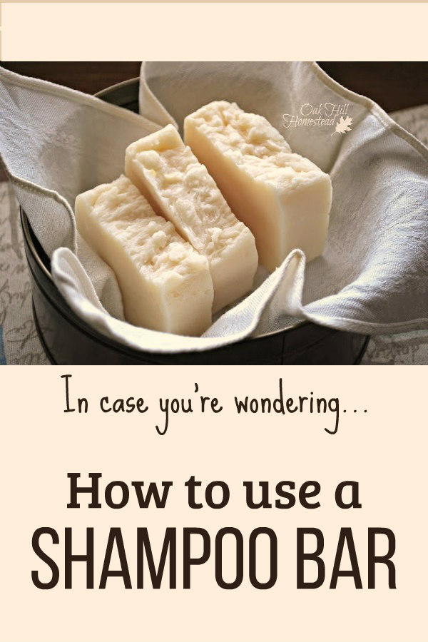 How to Use a Shampoo Bar Oak Hill Homestead