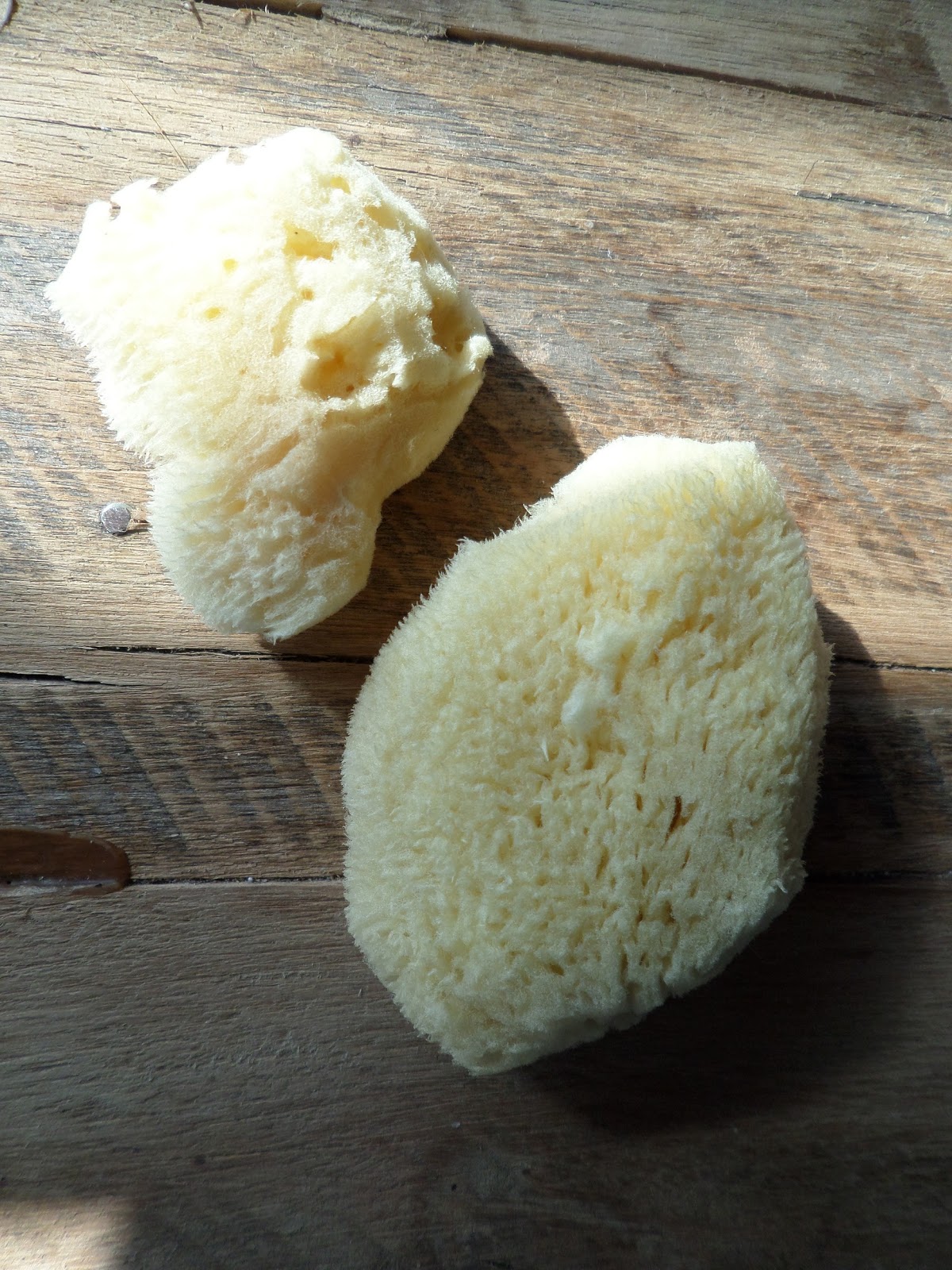 Review WomanKind Menstrual Sponges Oh Glow