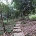 Taman Botani