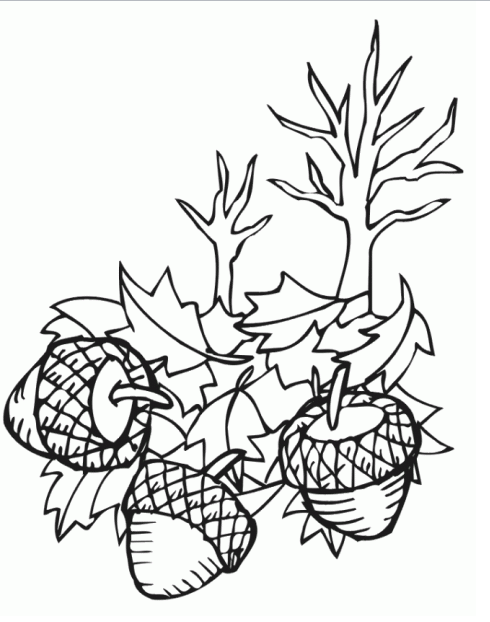 Plastilina y lápiz: Selección de dibujitos para colorear (Los frutos