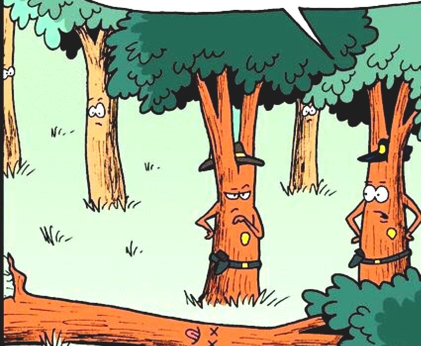 If A Tree Falls In A Forest  Tree Forest