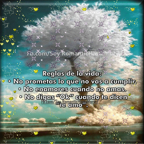 FRASES Y GIFS: REGLAS DE LA VIDA
