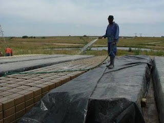 Curing of Sandcrete Block Use of water to cure sandcrete Blocls