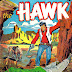 The Hawk #11 - Matt Baker cover