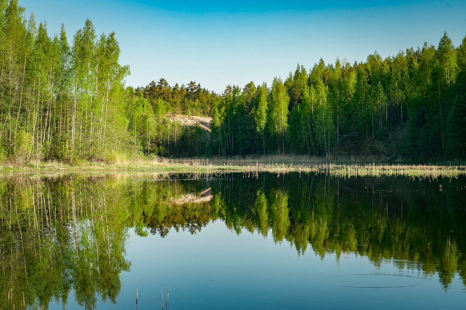 озеро белое клепиковский район