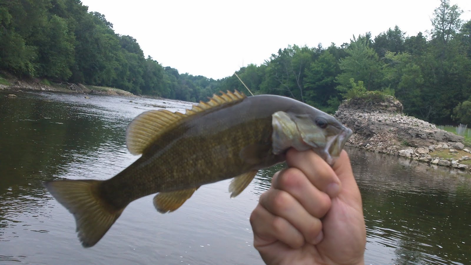 Illinois Wisconsin Fishing milwaukee river pike and smallmouth fishing