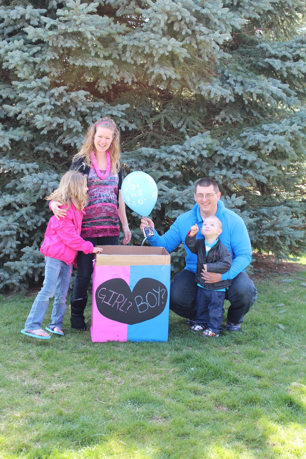 Java MaMa is the Boz of this House: Gender Reveal